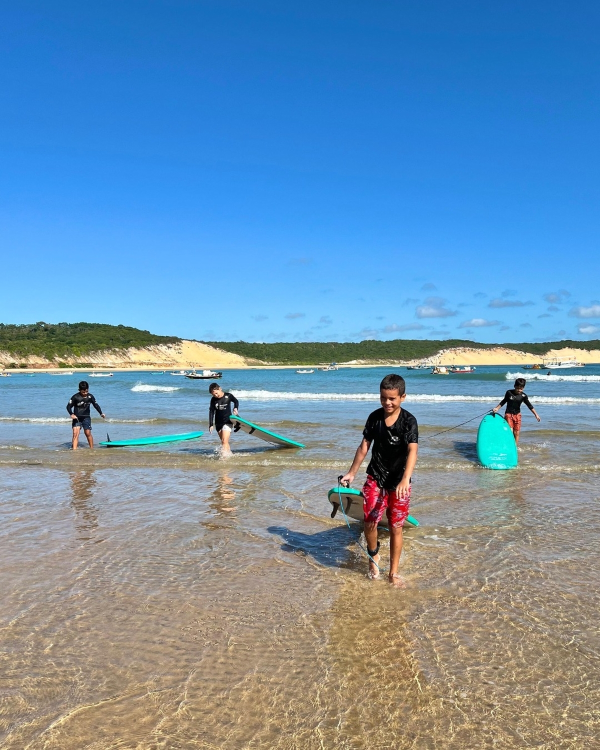  Hoje é comemorado o Dia do Turismo Ecológico.